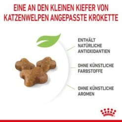 ROYAL CANIN Kitten 4 Kg 21 ROYAL CANIN Kitten 4 Kg -Heimtierbedarf Rabatte a8df74b6725246cc1c5fa7ed87e8fdc0a4cfc24f 3182550702973 6