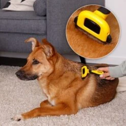 Lionto Haustierbürste, Zupfbürste -Heimtierbedarf Rabatte a99a14a7250fd4e501ec529126934f0a8e973480 1665908 de DE 47ac745e0253c5bc3fba7e69b1681c237a8f3a97orElkU