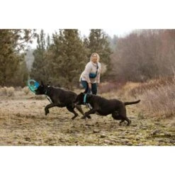 Ruffwear Pacific Ring™ Spielzeug Blau/ Türkis -Heimtierbedarf Rabatte aaae4ecd59db92ffe25787fd56b7315d42974ecb 1444351 de DE f747ae339bc2beff156a317c539c1237b854177bd9ZZMN