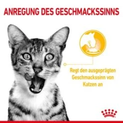 ROYAL CANIN SENSORY Smell Taste Feel Multipack In Soße 12x85g -Heimtierbedarf Rabatte aaf4f24b202976e78ef79eaa360fbe8258cb6f4f 7f11fca3b2ba8572d6407f297b2211d167401aba