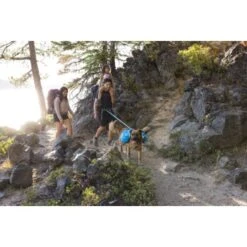 Ruffwear Approach™ Hunderucksack Blau M -Heimtierbedarf Rabatte adb6fe53f35c002880a11fdf955223282473e71e 1639823 de DE d58a64010d5b9dcf26c55b9da34cfb41fef50ac2cwioux
