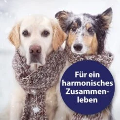Canosept Home Comfort Beruhigungsspray Für Hunde 100 Ml -Heimtierbedarf Rabatte adccfc5a19c76ad9b128183d6445b9a0ce37b36d 1265539 de DE Canosept 2