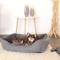 Lionto Hundebett Meliert Hundekissen Grau S -Heimtierbedarf Rabatte af04c8d8b18fc6bc7cc20501cd8a41223f04f3f7 1657966 de DE d34c668dacf36347770d2dc6119102a38747d81dirrLuQ