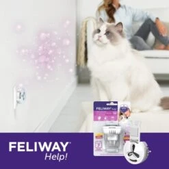Feliway Help! 7 Tage Start-Set Zur Vorbeugung Von Stress -Heimtierbedarf Rabatte af221c57f6ccc9e6f3f372e52503a2d7b9cf22d4 1380136 5