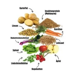 Eat Small EatSmall 2kg Mini Balance Trockenfutter -Heimtierbedarf Rabatte af7d5d3f0c6cf8ba5242b727f1eb43705b306dac 1450725 de DE 6283572904307389a0bc941157f085e96ce5449b6ePPOU