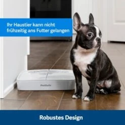 PetSafe Futterautomat Für 2 Mahlzeiten -Heimtierbedarf Rabatte afccbd633c58c8351d6efc6cc5102f36b818906b 1343837 10