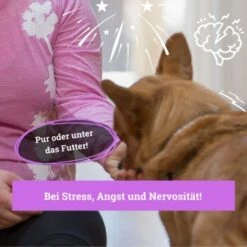 BeG Buddy Beruhigungsmittel Anti Stress -Heimtierbedarf Rabatte b103d91cb68ed72492e1a80be5084c66da746197 1457250 de DE 08609e0fa51d07263b2814ccdd31d9130bc0e999N5hPoA