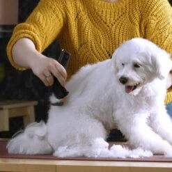 Moser Schermaschine Arco Pro -Heimtierbedarf Rabatte b131ca6d4dc18dbcff5826048d13c7a9865a2f22 9527aaf3ea2ef7fd3da12225a4b042dbe7fd8159