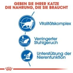 ROYAL CANIN Indoor 7+ 3,5 Kg -Heimtierbedarf Rabatte b15b3a341edb82d3b0b2fbcdfa1085a485519ef2 8029a12bcb04e5bfd8b7a4d93e4a2c997c8d2856