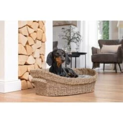 AniOne Korbbett S 14 AniOne Korbbett S -Heimtierbedarf Rabatte b27e51a850e4aa304f38835cc0b11c9362a5f503 1372191 de DE AniOne Bett 3