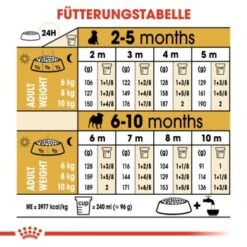 ROYAL CANIN Mops Puppy 1,5 Kg -Heimtierbedarf Rabatte b4fde8fc0325fcebebf1f7ba77ece4a760892ed2 1142a47ae7899b973d3881a321687bd221657b17