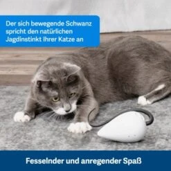 PetSafe Automatisches Katzenspielzeug RoloRat -Heimtierbedarf Rabatte b65e953878b463eb5125c940634b84e8b7c79a3f 1351522 de DE 3daf7dbb27d01ce7d63f06677a32dd6cde28abb9X2tLJP
