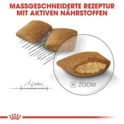 ROYAL CANIN Exigent Mini 3 Kg 13 ROYAL CANIN Exigent Mini 3 Kg -Heimtierbedarf Rabatte b8aa1c376b27f5425488e69d0cf81a397e0a03b5 ff7040fb29ee84f9d3542289043146698d974fd8