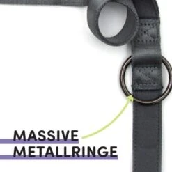 STUCH Hundeleine - Führleine - Large Grau -Heimtierbedarf Rabatte b8aa24e27cbc4a178974cb09d87bbaf3f970df7e 1399116 de DE db6ead7203d242448ab935c04f029f56fb115743qrNPpj