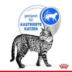 ROYAL CANIN Indoor 7+ Sterilised 12x85g In Gelee -Heimtierbedarf Rabatte b8deafb3ee408d0ff36ae01e8bfcb73235e77c63 280e962da7ec0ad4acf939fc5a0bfc1107418f5d