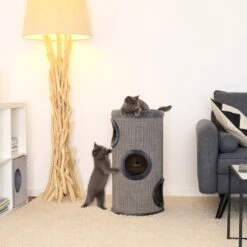 Lionto 70cm Kratztonne Mit Sisal Kratzturm Grau -Heimtierbedarf Rabatte b9c579c02bd4b27a7cd2c8ab87d2c0034bf4adec 1657064 de DE e973731c60583050766ad0958ba52886adfe9853tk4Wok