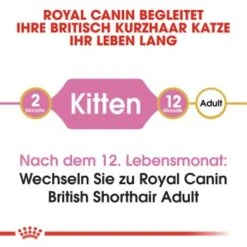 ROYAL CANIN British Shorthair Kitten 2 Kg 12 ROYAL CANIN British Shorthair Kitten 2 Kg -Heimtierbedarf Rabatte b9dcf6abb7a4919bf6fc18b953f6e6aa3597ecf5 b5fbd35505db68c05c613e1187818406628392a1