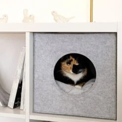 Lionto Katzenhöhle Aus Filz + Kissen - Regalhöhle Hellgrau -Heimtierbedarf Rabatte ba38cb426515f287554cca1376691e8fc1f2c06c 1657087 de DE 1787a06f3e708c0b40c07cda94f11d1c11828f21AhrPBZ