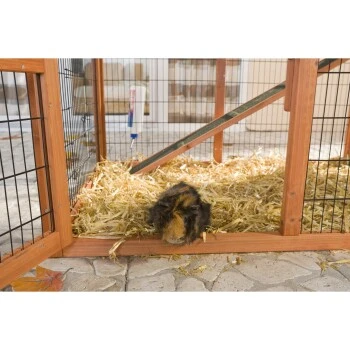 Trixie Nagerstall Natura Mit Auslauf 6 Trixie Nagerstall Natura Mit Auslauf – Bild 4