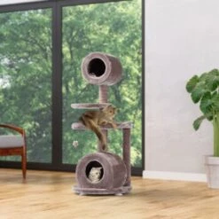 MORE FOR Kratzbaum Jive -Heimtierbedarf Rabatte ba465afaa9ffb7d77bc7734ed7dbb785ff76646f d6a5a8b38136f1f66656c79e1a87133b075995b8