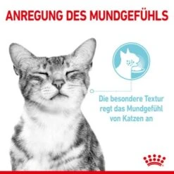 ROYAL CANIN SENSORY Smell Taste Feel Multipack In Soße 12x85g -Heimtierbedarf Rabatte baf00e5a4ea333c520344ef894e9fb2288f0a042 9c83d499e727e5db35146871f29c330f64074010