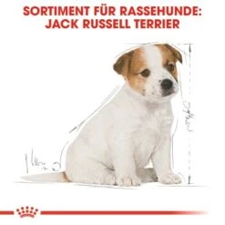 ROYAL CANIN Jack Russel Terrier Puppy 1,5kg -Heimtierbedarf Rabatte bb3f5f8c600f3d186a55e0b092a0352606da8b46 5f62f0670b22e1110337187d33f26910051f1a81