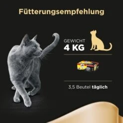 Sheba Delikatesse In Gelee 40x85g -Heimtierbedarf Rabatte bbaa02f757fde6870dc20a49fc3a0038b9dee9ca da996aa0a5acf0483f2a5edefc15d5dc9cb6c05f