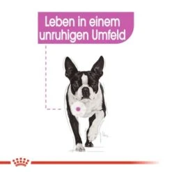 ROYAL CANIN Relax Care Mini 3 Kg -Heimtierbedarf Rabatte bc21685a55dde6700f1426e5dcfbc4c03ca223ed f8d247f6eb11347905c067951ee80800ad541e52