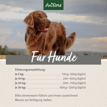 Aniforte RanchHorse Pferd Mit Süßkartoffeln 6 X 800 G 6 Aniforte RanchHorse Pferd Mit Süßkartoffeln 6 X 800 G – Bild 4