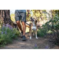 Ruffwear Chain Reaction™ Halsband Blau L -Heimtierbedarf Rabatte bda880cf20a0d4ecfc42a492d3afe2b836b658b4 1651441 de DE d0f63a8cbba2a216d104e913e59205811773db0fOOdjoJ