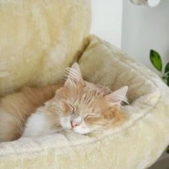 Schlitzohr Heizungsliege Lucky Beige -Heimtierbedarf Rabatte bdc02033928d033279e49ebefe91371e629dfd2f 1484673 de DE 4daf09016934a9074c92f48c173e840fa6385a4agwWEjb