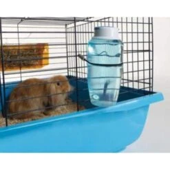 Savic Trinkflasche Source 300 Ml -Heimtierbedarf Rabatte bf715cf9bf40f48bf8ff329090400df78509b41a 9b337ed2937801349f27dcf1bb0ee66e979c5a5f