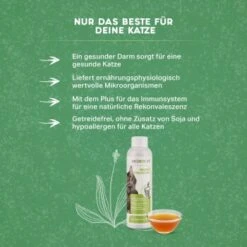 MediCat Probio Vitaldrunk 8 MediCat Probio Vitaldrunk -Heimtierbedarf Rabatte c09e3e649fc5c58a3dbb0506a4b155433b98dbcc 1480510 de DE 503ebf013af5bf61efdf3e9d57bf86634fc79ebdUTRPvI