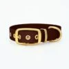 THE DOG IDEA Biothane Halsband Gold Braun XS -Heimtierbedarf Rabatte c1b8c5b8197b22c733cb958a763c9cdd48f20f9a 1655403 de DE 3eec8ecb6b61cc6900e4fcc8626bfc1517e55a960qusg8