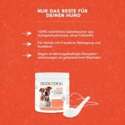 MediDog Gelenkschmiere -Heimtierbedarf Rabatte c2260bdbd924fcc5c3919c27254c4c1dc8dd9d9a 1660407 de DE 24aca3d9f49784b2b40f2e4078cdf1aaa1e37af9iudOQZ