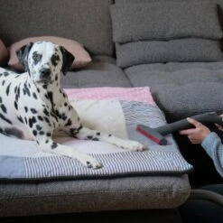 THOMAS AQUA+ Pet & Family -Heimtierbedarf Rabatte c3381bf4158feb85ebfd3f3d8bb59ef108b95290 1408595 de DE f1089c65a30ba894d2939997310129f1b316d2cdCtnGOW