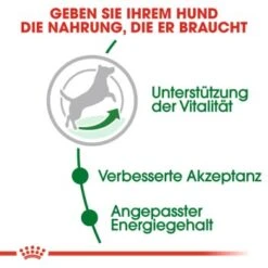 ROYAL CANIN Mini Adult 8+ 8 Kg -Heimtierbedarf Rabatte c353b0de3f48a724e716c1c76485d0baab2f2c1c b5e80ca1f67a73b432838d9b8dc4feac61bcbeef