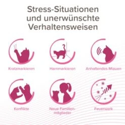 Beaphar CatComfort Excellence Starter-Kit 48ml -Heimtierbedarf Rabatte c5acac2221a0b2cf3e7346d9f61b6606812afde8 1416646 1 1