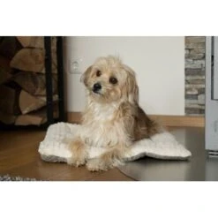 TrendPet Heaven Gefütterte Liegedecke Beige XS -Heimtierbedarf Rabatte c5c66fc687d35a3e6773ef1448666519ab0b2e08 1247692 de DE 81f160c83e2294ffce25bd46e4e5f7822b6791cdSRCcNt