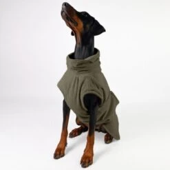 THE DOG IDEA Bademantel Every Khaki XXXS 10 THE DOG IDEA Bademantel Every Khaki XXXS -Heimtierbedarf Rabatte c6567ee5fa23ab9a22b56936e6d4134ee2acea14 1473018 de DE 152849e6e27b535b9a56967a3d0992ac03ebbc6b46CQen