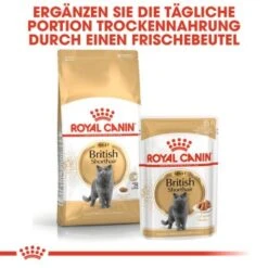 ROYAL CANIN British Shorthair Adult 2 Kg -Heimtierbedarf Rabatte c753bd00548b3887de38170504d89850cc579133 6ad27fa67d71d664216d6c9c00894ac1ba874172
