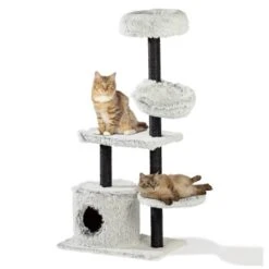 Silvio Design Katzenbaum Lia -Heimtierbedarf Rabatte c81df2c7cf1859fad171491105b6c7f17ec56689 ca032ae2d9d19e79be2dadb05575650e9b4d0ebe