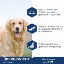EUKANUBA Daily Care Übergewichtig, Kastriert 12 Kg 7 EUKANUBA Daily Care Übergewichtig, Kastriert 12 Kg -Heimtierbedarf Rabatte c8d21183e793a2471b19b4a5be57793b5e17df0a 1013172 de DE ask 2