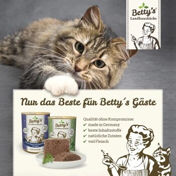 Betty's Landhausküche Frischebeutel Mit Truthahn 12 X 100g Für Katze 6 Betty's Landhausküche Frischebeutel Mit Truthahn 12 X 100g Für Katze – Bild 4