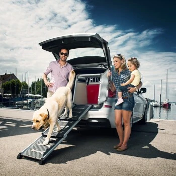 4pets Rampe EasySteps 3 4pets Rampe EasySteps