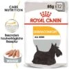 ROYAL CANIN Dermacomfort 12x85g 2 ROYAL CANIN Dermacomfort 12x85g -Heimtierbedarf Rabatte cd66adbeb112d8b4449ca88ca88d62a13de2b463 e80f4a6651615b70a3941d70af71b58909332d87