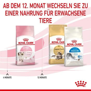 ROYAL CANIN Kitten 4 Kg 8 ROYAL CANIN Kitten 4 Kg – Bild 6