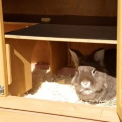 Kerbl Nagerstall Appartement Pro -Heimtierbedarf Rabatte d0393ab2c6d0024f1e38155c2064cc1a55cb4c3e aaca8b9b82324f261778e220e8b4c213eb3f4d3d