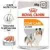 ROYAL CANIN Coat Care 12x85g 1 ROYAL CANIN Coat Care 12x85g -Heimtierbedarf Rabatte d0a6d6413fd09868f774eb0af000b2d5947d570d a1c5197bd67ac6248bb87496d4656427b7603da1