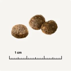 REAL NATURE WILDERNESS Adult Probierpaket Mixpaket 1, Mix-Pack -Heimtierbedarf Rabatte d13ec079dfc733868201f90c68c1160fb8a8b3ec 1267094 de DE 6